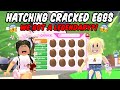 Hatching CRACKED EGGS until we get a LEGENDARY pet!! 😮 Ft. Tala808