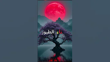 نغمات 2025 غناء الطيور نغمة رنين للموبايل نغمات Music 