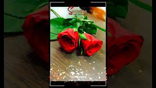 Jaam Woh Hai Jo Bhar Ke Chalakta Hai  Whatsapp Status ringtone Aklove