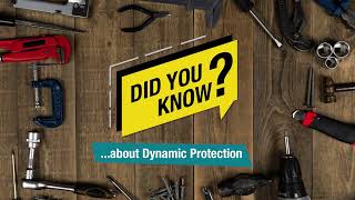 Did You Know About Dynamic Protection?