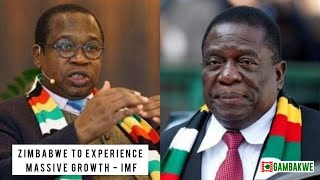 Zimbabwe is undergoing economic recovery - IMF
