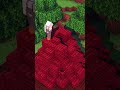 Crafting Epic Minecraft Builds | From Simple Blocks to Masterpieces