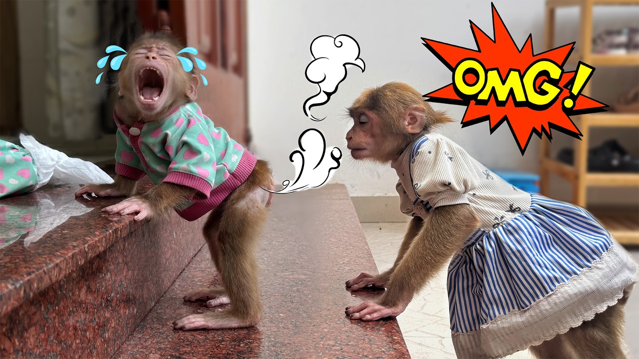 Lucky’s unusual behavior makes Sunny uncomfortable!