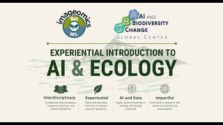 Module 3 - AI Literacy: Key Modalities and Modeling Paradigms: Week 3 Synchronous Lesson