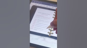 Page Replacement For Your Lash Tech Digital Client Record Book 🥰