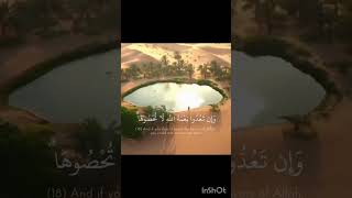 Pin On Quran
