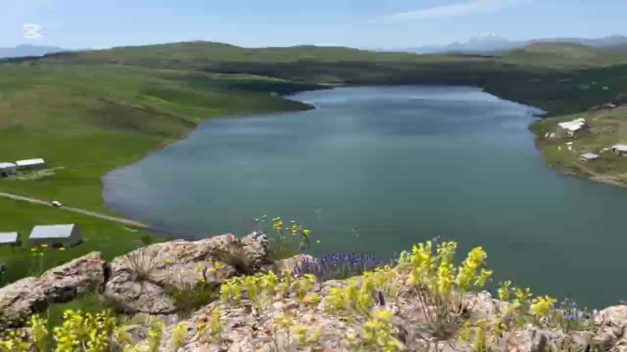 Ağrı Başçavuş Köyü (Gunde Şeko) 2025