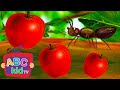 A is for ant and apple  more   preschool learning  abc kidtv  nursery rhymes  kids songs