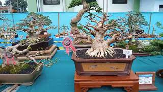 Pamlok Purwosari Pasuruan Spill Kelas Bahan