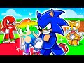 Tails Was Being Toxic, So I Stole His RAREST SONIC in Roblox...