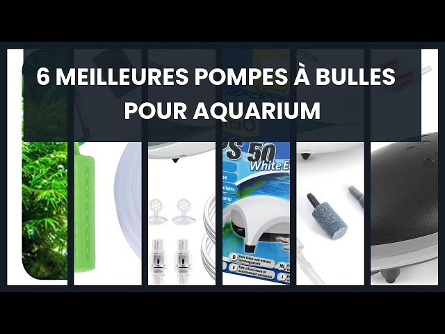 Pompe Air Aquarium, Rglable Puissante Double Sortie Bulleur