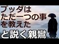 「ブッダの教えは○○一つだった」と断言する親鸞聖人