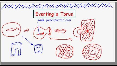 Everting a Torus (TANTON Mathematics)