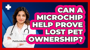 Can a Microchip Help Prove Lost Pet Ownership?
