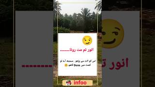 Urdu Joke Urdu Latifay Funny Video Pakistani Jokesinfoo