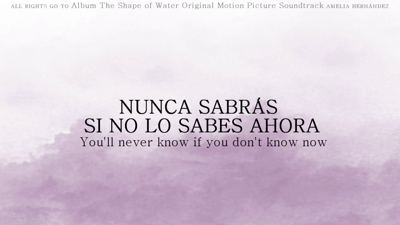 alexandre-desplat-you-ll-never-know-lyric-espa-ol-the-shape-of-water