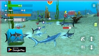 Shark Fish Simulator 3D Android Gameplay screenshot 4