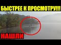 УЖА.СНЫЕ КАДРЫ!!! ЛЮДИ СПОЙМАЛИ ЕГО!!! 14.04.2022!!! ДОКУМЕНТАЛЬНЫЙ ФИЛЬМ!!!