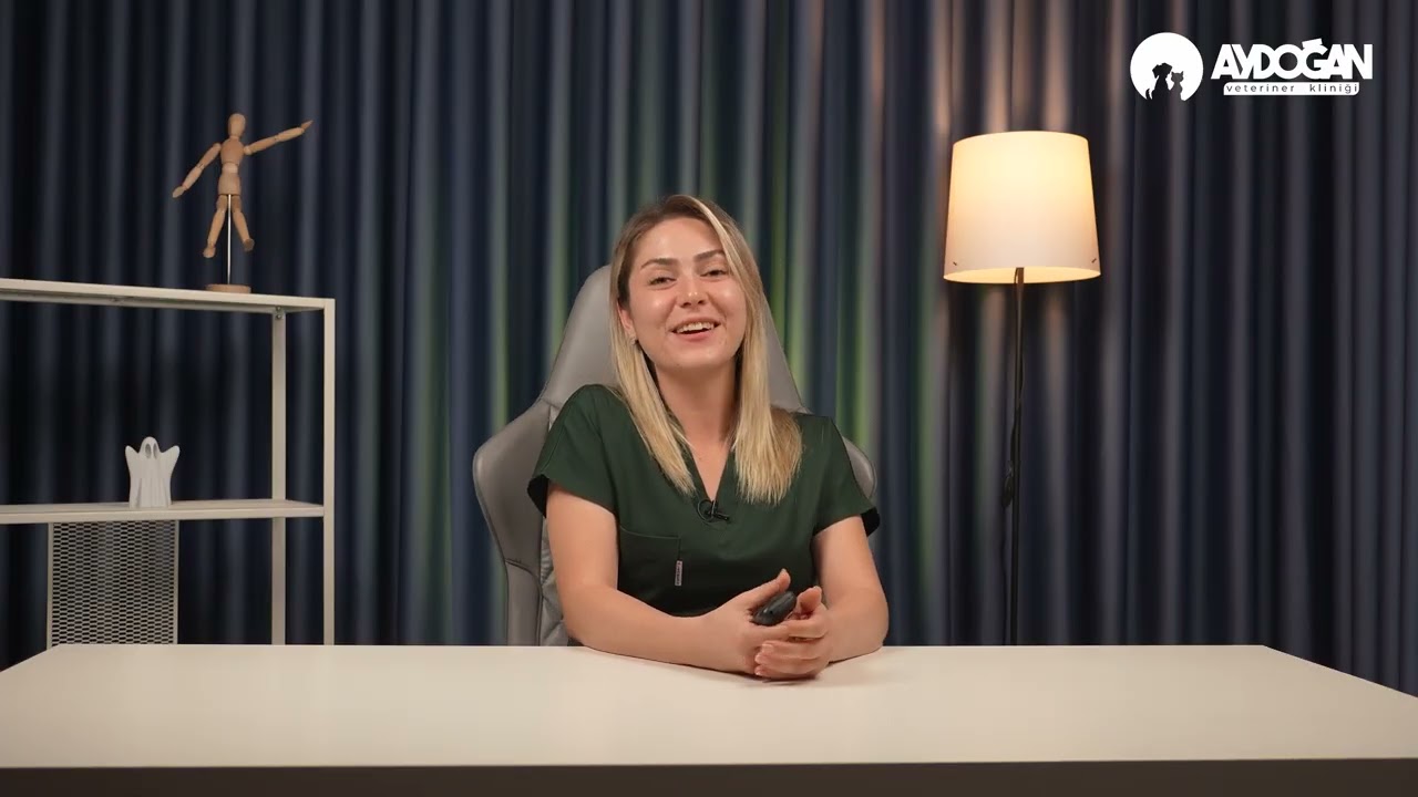 Btikiler ve Hayvanlar