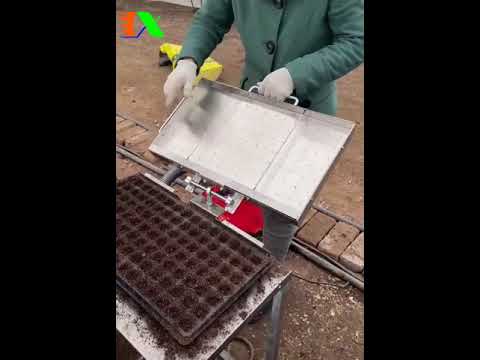Video Khay nhựa ươm cây, Vỉ ươm hạt giống, Khay nhựa PET ươm... - youtube