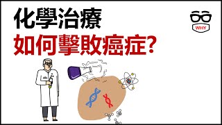 化學治療如何擊敗癌症: 作用原理及副作用解析｜WHY WHITE癌症系列