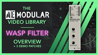 The AE Modular Video Library - Wasp Filter