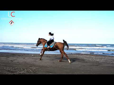 She riding horse 11 year Gulay Farzaliyeva at belinde 11 yasli qiz at capar