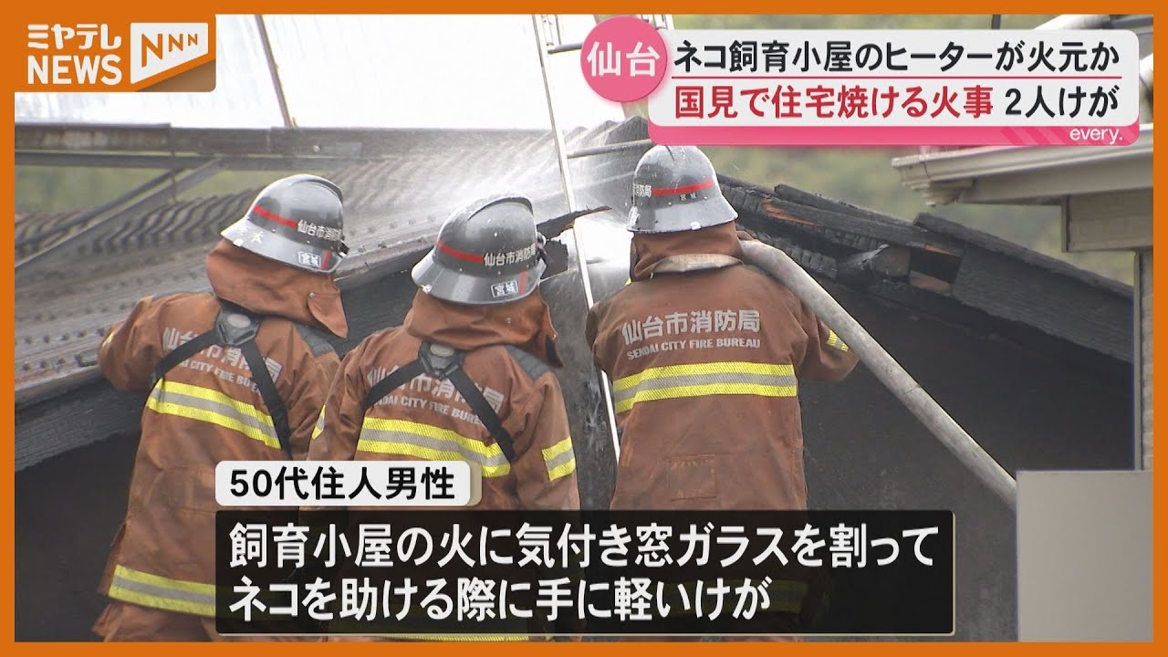 小鉄(断捨離中) hq720.jpg?sqp=-