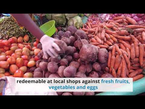WFP Seqota Declaration Fresh Food Voucher Ethiopian Food Systems