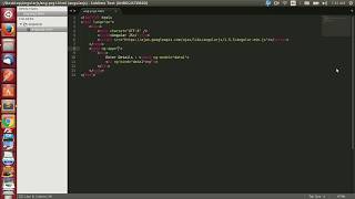 Numosys - Angular js - Part 1