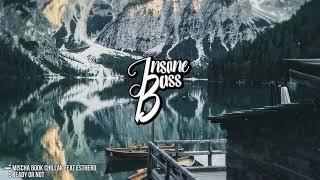 Mischa Book Chillak feat Esthero - Ready Or Not (Bass Boosted)