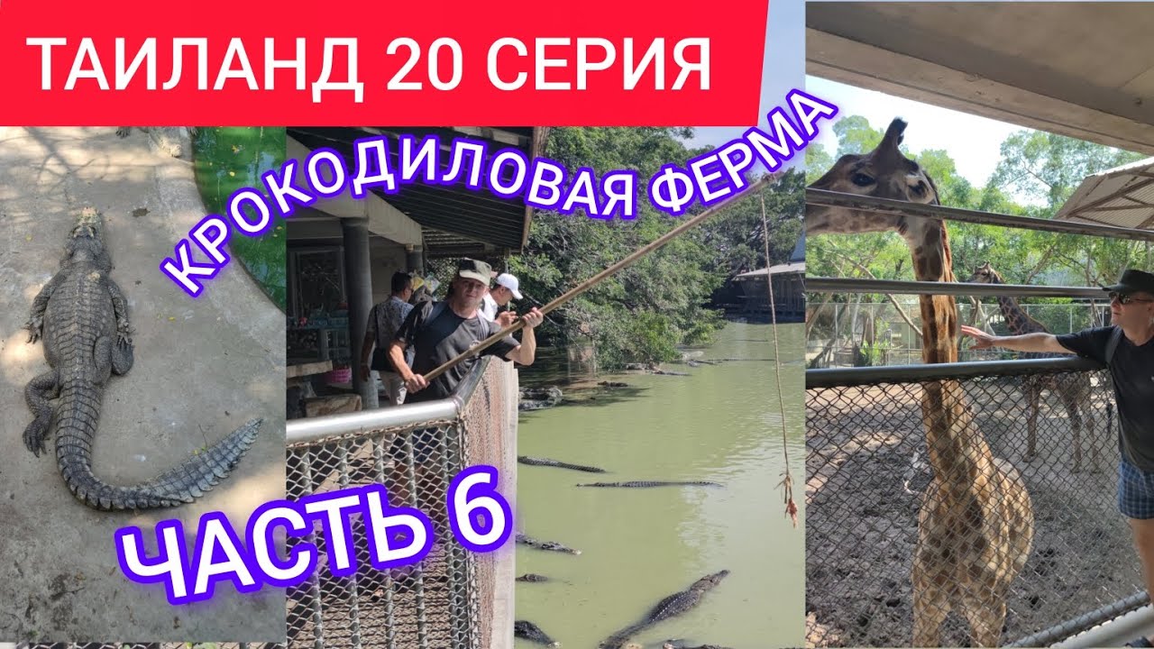 ТАИЛАНД 20 СЕРИЯ КРОКОДИЛОВАЯ ФЕРМА 