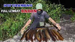 Download Lagu TAK BISA BERKATA-KATA PASANG TAJUR DI SPOT TERSEMBUNYI FULL LEMBAT BABON #BA-14 MP3