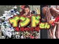 【規格外の国】🥳インドのゆかいなお友達を紹介するよ～！🤗【おもしろ動画】