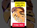 লেজার কাটিং Wooden Leaf Design | Showpiece, Wall Decor &amp; Gift Ideas #shorts #LaserCutting #Wood