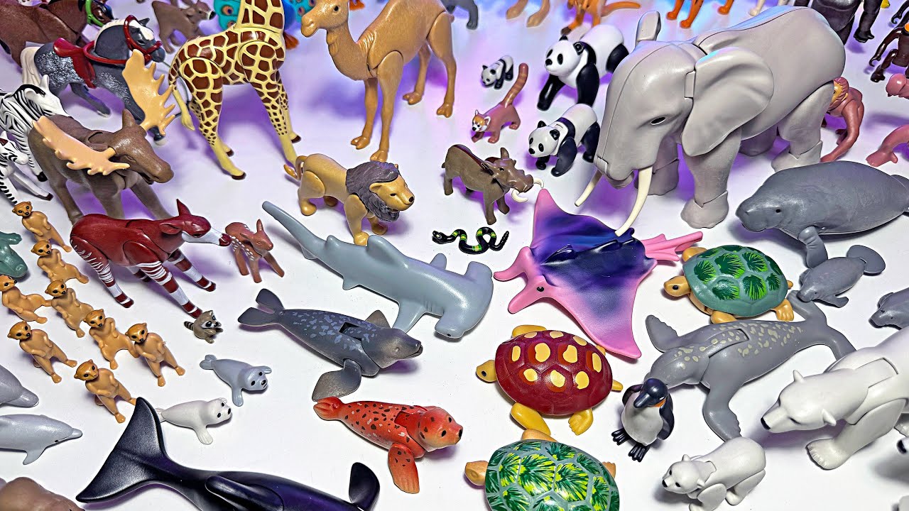 New Playmobil Animals - Elephant, Lion, Tiger, Shark, Hammerhead, Dolphin, Penguin, Giraffe