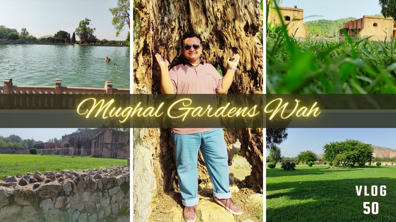 Mughal Gardens Wah |  ایک سو چودہ سال قدیم چنار کا انوکھا درخت | Punjab Heritage | Vlog 50 | AliFlix