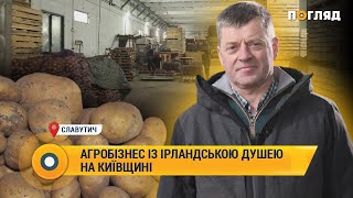 Київщина: агробізнес Славутича із ірландською душею