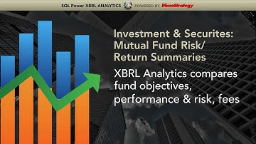 XBRL Analytics: Introduction