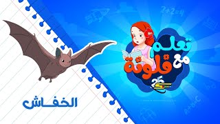 سبيستون | تعلم مع فلونة | الخفاش 🦇