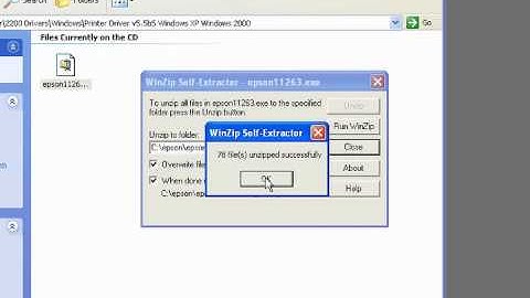 DTG RIP Pror Installing the Native Driver