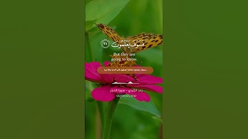 " ولقد نعلم أنك يضيق صدرك بما يقولون " || أواخر سورة الحجر ~ القارئ رعد الكردي