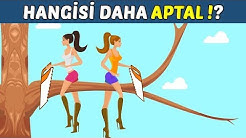 Komik zeka soruları - Beycan.NET, Komik zeka soruları, Bölüm 2 - Beycan.NET, Komik zeka soruları, Bölüm 3 - Beycan.NET, 100 adet ZEKA SORUSU (cevaplarıyla) - EDEBİYAT FATİHİ, İşte enteresan zeka soruları... - CNN Türk, Komik Güldüren Cevaplı Bilmeceler Sayfası - Bilmeceler ve Cevapları