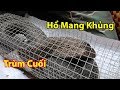 Lời Đồn Về Con Rắn Khủng Là Có Thật - Võ Minh Phụng Bẫy Rắn