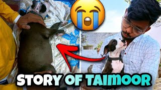 Luckiest Dog Ever 😭 || Sad Story Of Taimoor || VLOGRSH by VLOGRSH 1,548 views 2 years ago 6 minutes, 41 seconds