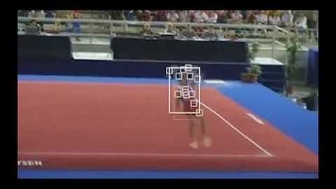 An adaptive coupled-layer visual model for robust visual tracking (ICCV 2011)