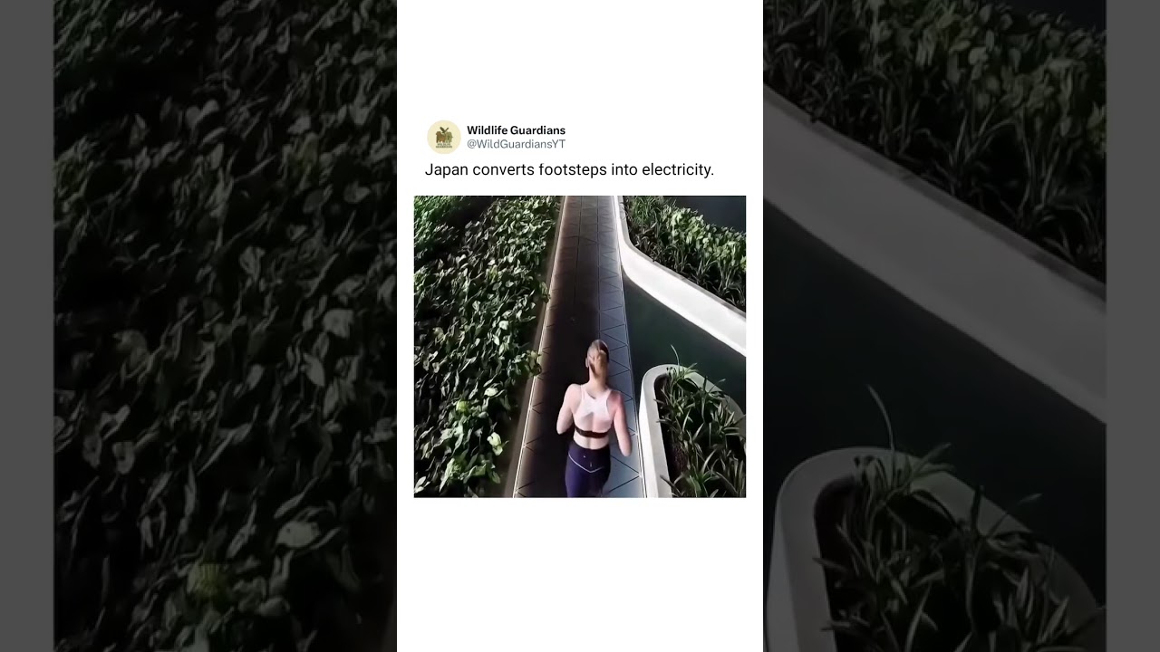 Walking Into the Future