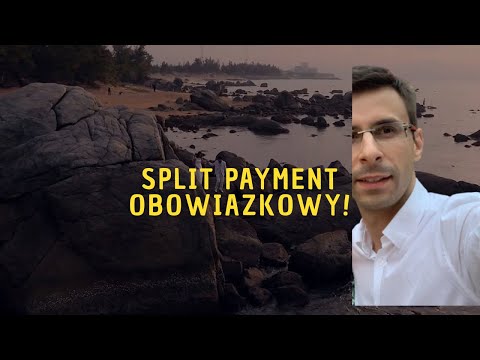 Wideo: Czym są rządowe płatności postępowe?