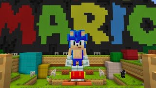 So Sonic is in Minecraft now...