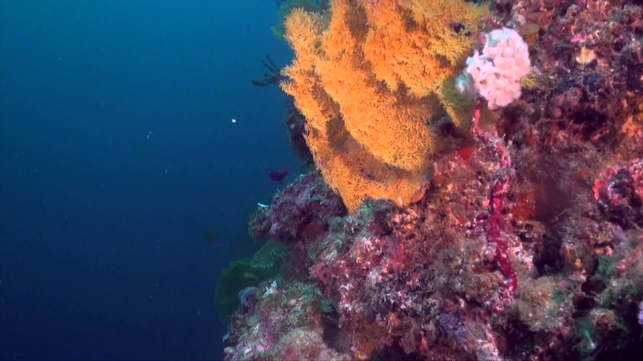 Palau 2016